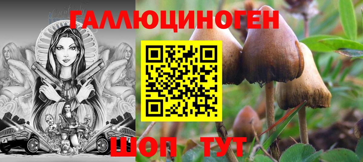 Галлюциногенные грибы мицелий Партизанск